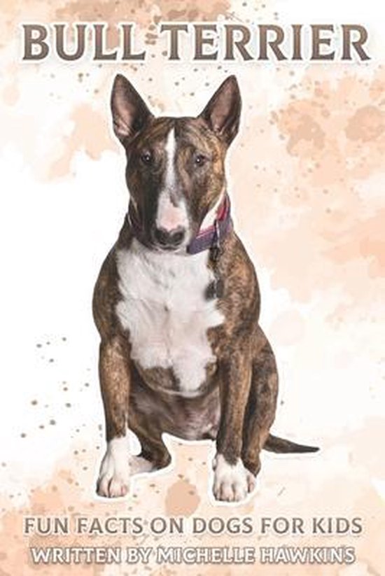 Bull Terrier
