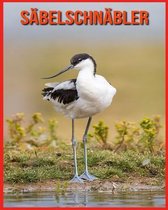 Sabelschnabler