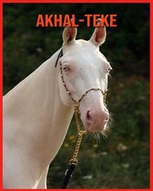 Akhal-Teke