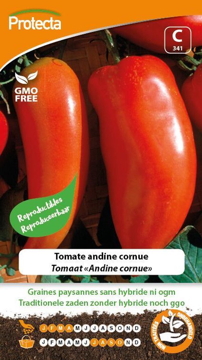 Protecta Groente zaden: Tomaat Andine cornue