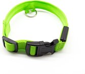 Lichtgevende halsband voor honden - Groene led - 45-52 cm omvang - Veilige halsband met groen led licht - USB oplaadbaar - Incl USB kabel