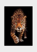 Poster Wild Leopard - Plexiglas - Meerdere Afmetingen & Prijzen | Wanddecoratie - Interieur - Art - Wonen - Schilderij - Kunst