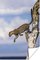 Luipaard springend van een boom poster