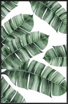 JUNIQE - Poster met kunststof lijst Palmbladeren -13x18 /Groen & Wit