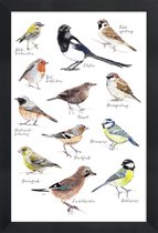 JUNIQE - Poster in houten lijst Vogel illustratie -40x60 /Kleurrijk