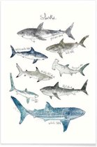 JUNIQE - Poster Haaien illustratie -20x30 /Blauw & Ivoor