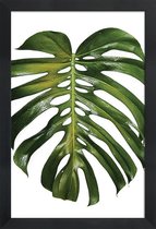 JUNIQE - Poster in houten lijst Monstera foto -60x90 /Groen & Wit