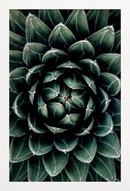 JUNIQE - Poster in houten lijst Cactus hart -30x45 /Groen