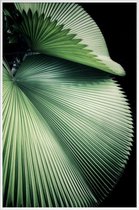JUNIQE - Poster in kunststof lijst Sharp Palm -60x90 /Groen