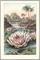 JUNIQE - Poster met kunststof lijst Water Lily -13x18 /Grijs & Groen