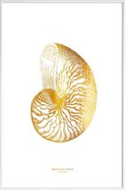 JUNIQE - Poster met kunststof lijst Nautilus Shell gouden -20x30 /Goud