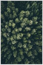 JUNIQE - Poster in kunststof lijst Bos - luchtfotografie -40x60 /Groen