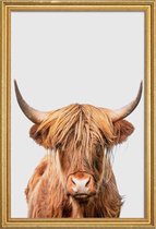 JUNIQE - Poster met houten lijst Highland Cow -40x60 /Bruin