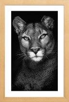 JUNIQE - Poster in houten lijst Lioness -60x90 /Grijs & Zwart