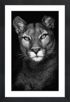 JUNIQE - Poster in houten lijst Lioness -20x30 /Grijs & Zwart
