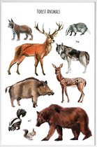 JUNIQE - Poster met kunststof lijst Forest Animals -13x18 /Bruin &