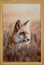 JUNIQE - Poster met houten lijst Fox in Reeds -30x45 /Bruin & Oranje