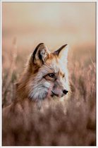 JUNIQE - Poster met kunststof lijst Fox in Reeds -13x18 /Bruin &