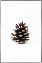 JUNIQE - Poster met kunststof lijst Pinecone N1 -30x45 /Bruin & Wit