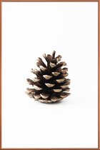 JUNIQE - Poster met kunststof lijst Pinecone N1 -40x60 /Bruin & Wit