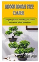 Indoor Bonsai Tree Care