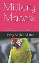Military Macaw