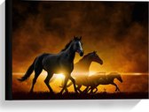 Canvas  - Spelende Paarden in de Wei - 40x30cm Foto op Canvas Schilderij (Wanddecoratie op Canvas)