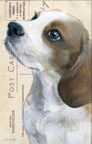 Dubbele kaart met env. Hond Beagle 11,5x17,5cm