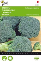 Buzzy zaden - Broccoli Groene Calabria - Brassica oleracea