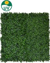 Emerald - Kunst Plantenwand Hedera 50x50cm - Kunstplanten voor binnen
