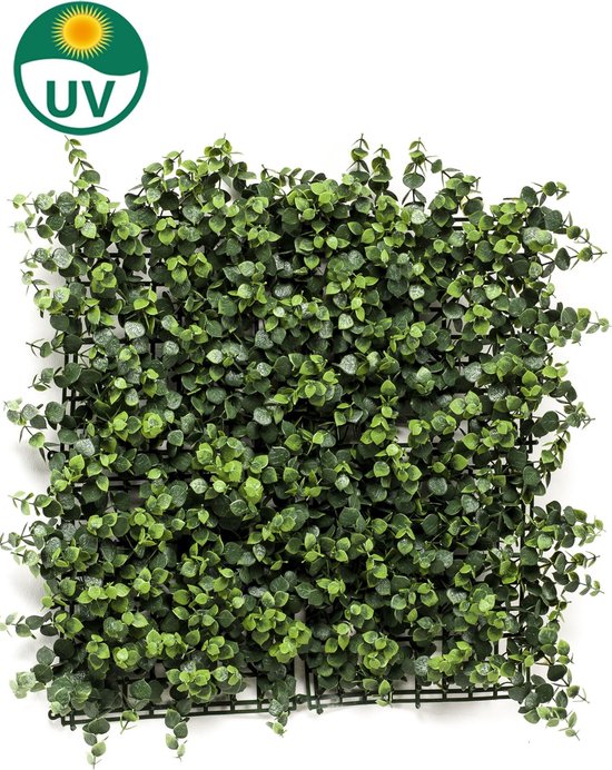Emerald - Kunst Plantenwand Eucalyptus 50x50cm - Kunstplanten voor binnen