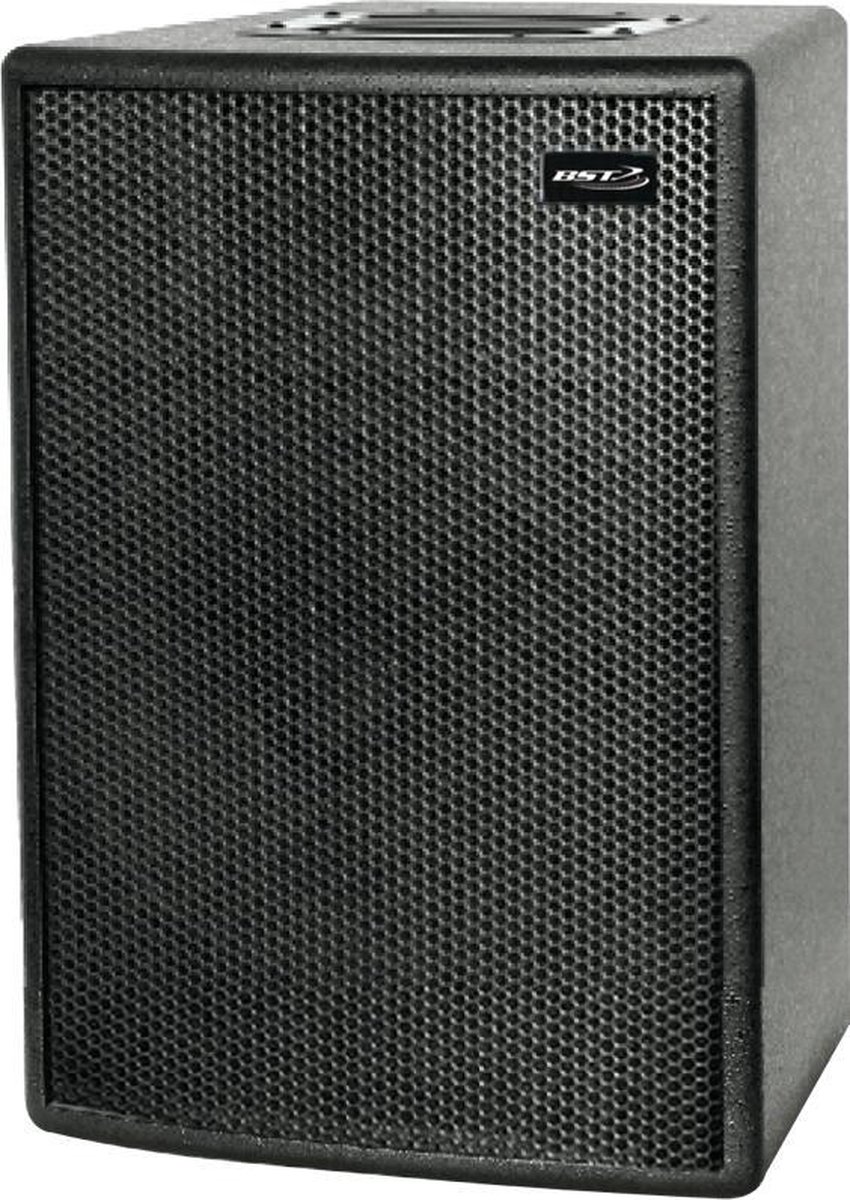 2-weg passieve speaker 300W / MDF gelakt / BST-ERX10 - BST