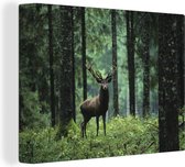 Cerf est la forêt 40x30 cm - petit - Tirage photo sur toile (Décoration murale salon / chambre) / animaux sauvages Peintures sur toile