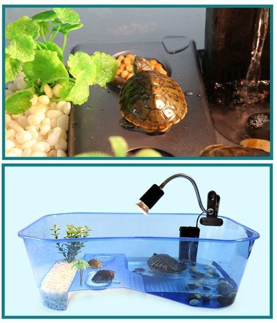 ✿BrenLux Schildpad verblijf - Schildpaddenverblijf - schildpaddenbak - Terrarium schildpad - 25cm x 17 cm Smal - Opvangbak schildpad - Merkloos