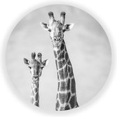 Wandcirkel Giraffenpaar