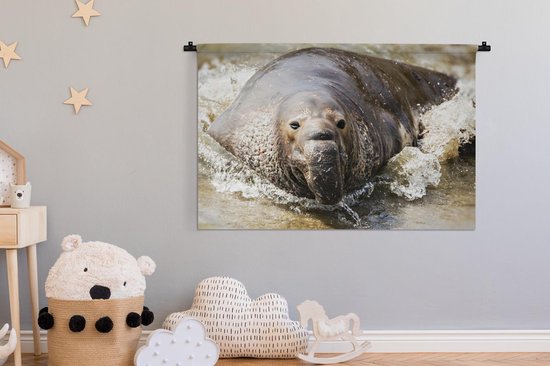 Tapisserie Animaux aquatiques - Éléphant de mer sortant de la mer Tapisserie coton 120x80 cm - Tapisserie avec photo