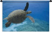 Wandkleed Schildpad - Groene zwemmende schildpad fotoprint Wandkleed katoen 90x60 cm - Wandtapijt met foto