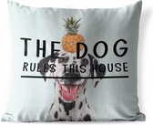 Buitenkussens - Tuin - Honden quote 'The dog rules this house' en een achtergrond met een dalmatiër - 50x50 cm