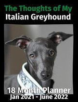 The Thoughts of My Italian Greyhound