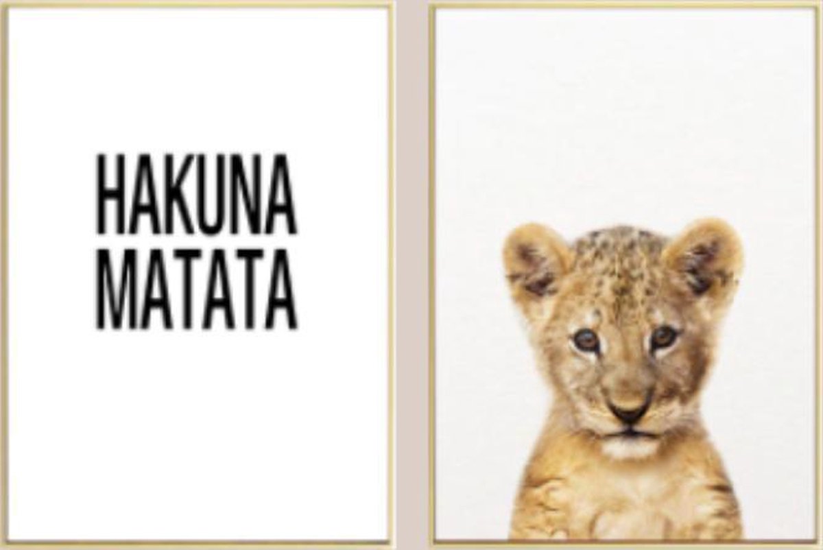 Affiche Sur Toile Hakuna Matata Lion Lionceau Dire Citation Chambre D Enfant Bol Com