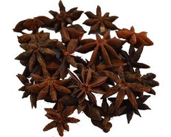 De Kruidenbaron - Steranijs - strooibus 100 gram