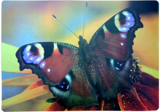 Placemat | vlinder op bloem | dagpauwoog | 36 x 26 cm | keuken decoratie