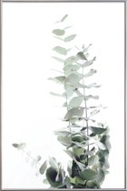 JUNIQE - Poster met kunststof lijst Eucalyptus foto -20x30 /Groen &