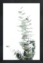 JUNIQE - Poster met houten lijst Eucalyptus foto -13x18 /Groen & Wit