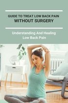 Guide To Treat Low Back Pain Without Surgery: Understanding And Healing Low Back Pain