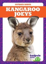 Outback Babies- Kangaroo Joeys