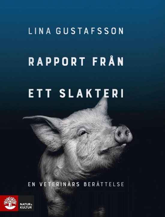 Rapport från ett slakteri : en veterinärs berättelse - cover