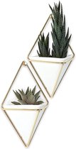 MuCasa®  Wanddisplay  | Muurcontainer Groot | Bloempot, Plantpot, Planter | Wit / Mat goud | Tweedelig