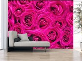 Professioneel Fotobehang Roze rozen - roze - Sticky Decoration - fotobehang - decoratie - woonaccessoires - inclusief gratis hobbymesje - 385 cm breed x 260 cm hoog - in 7 verschillende forma