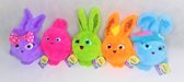 Sunny Bunnies - Knuffel set van 5 knuffels -  30cm